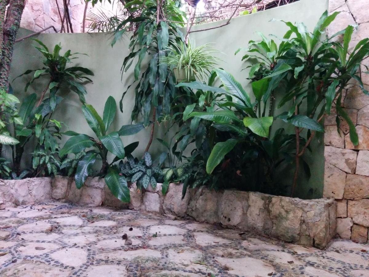 Casa Beard, Spacious Guest House With High Speed Wifi & Pool. Playa del Carmen Exterior photo